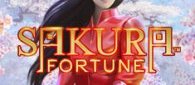 Слот — Sakura Fortune